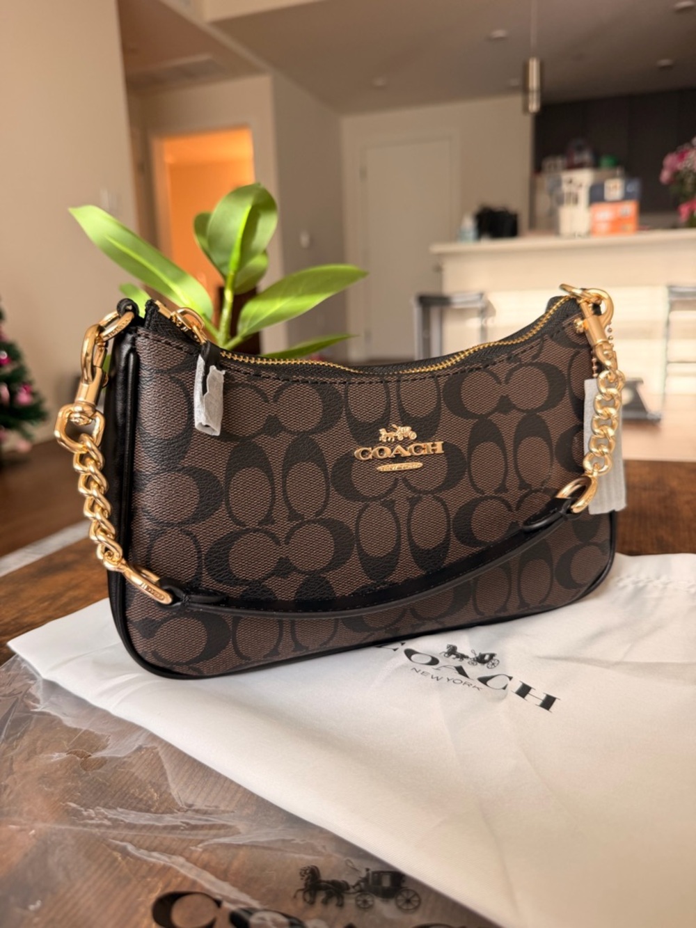 Coach Teri Shoulder Bag in Signature Leather

Black, Brown, Gold
